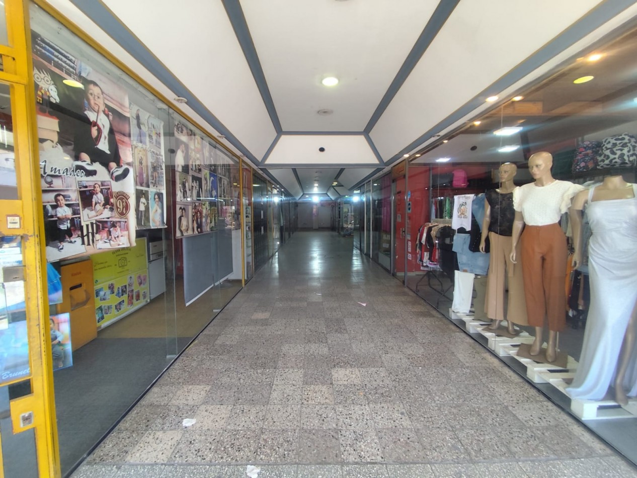 SE ALQUILAN LOCALES EN GALERIA